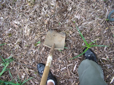 Digging a hole