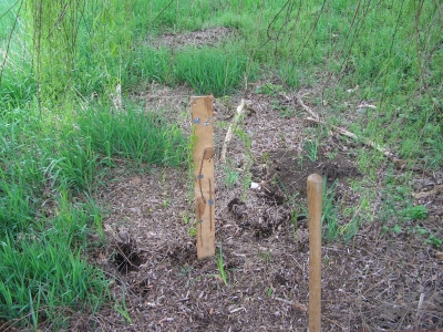 Final resting place