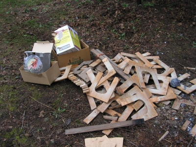 morning wood