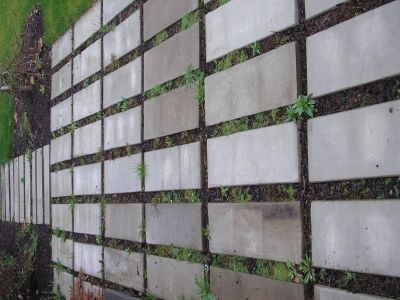 The patio