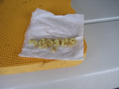 My little ginger joint, lol