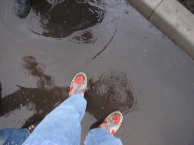 Another change in terrain