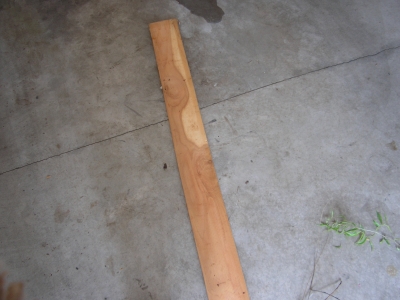 The tree to be