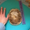 Size comparison Size comparison