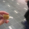 My sample candy