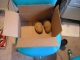 The Box