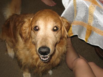 Cal