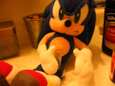IMG_1881.jpg IMG_1881.jpg