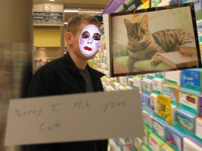 Greeting Cards - 04 - Sorry I Hit your Cat.jpg