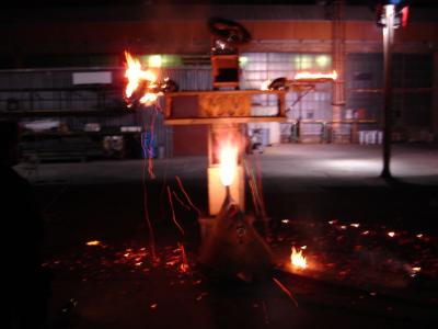 Look at Darwin go! Look at Darwin go!