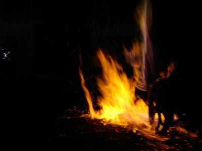 DSC02169.JPG DSC02169.JPG