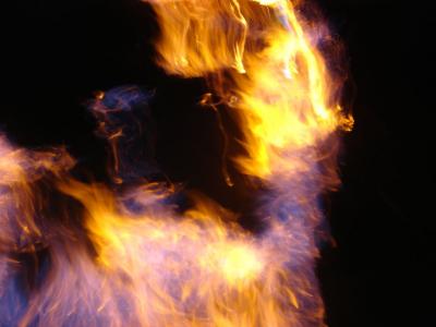 DSC02197.JPG DSC02197.JPG