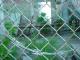 DSC03665.JPG