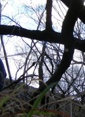 Catastrophic failure.