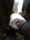 Climbing trees.