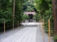 Leading to a little forested temple.