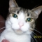 Poot... My cute time kitty!