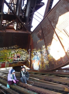 n12501780_30045164_7876.jpg