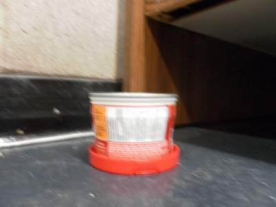 Dumpster21.jpg