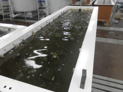 SF0-Katabasis (Raw) 114.JPG