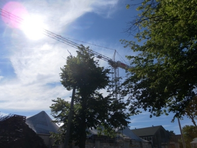 main_sf0raw078106251.jpg