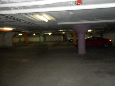 main_sf0raw101106275.jpg