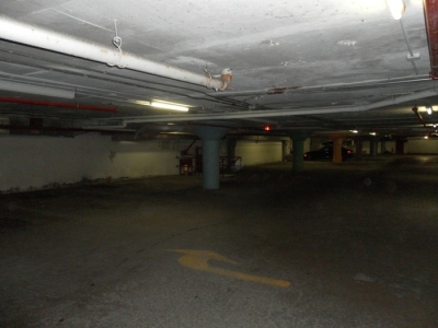 SF0 Raw 110.JPG SF0 Raw 110.JPG
