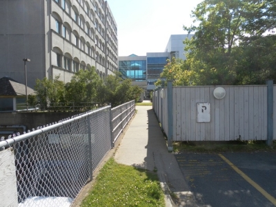 SF0 Raw 115.JPG SF0 Raw 115.JPG