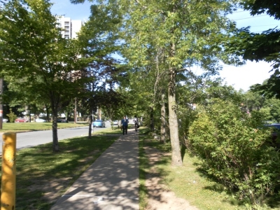 SF0 Raw 120.JPG SF0 Raw 120.JPG