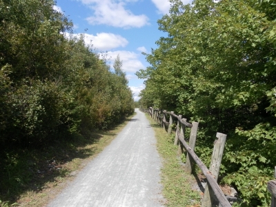 main_tosort025800x60106760.jpg