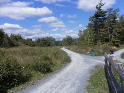 main_tosort026800x60106761.jpg