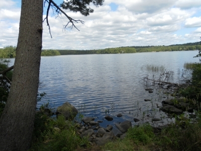 main_tosort050800x60106785.jpg