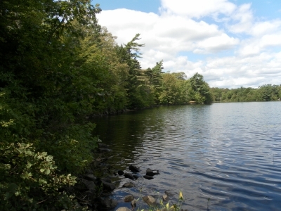 main_tosort051800x60106786.jpg