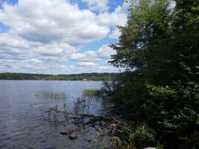 main_tosort052800x60106787.jpg
