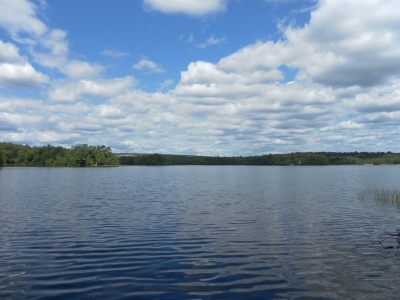 main_tosort053800x60106788.jpg