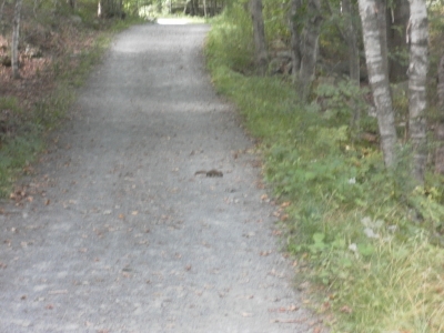 main_tosort058800x60106793.jpg