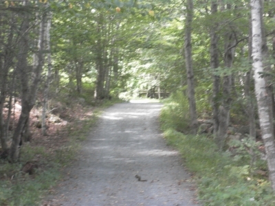 main_tosort059800x60106794.jpg
