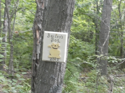main_tosort067800x60106802.jpg