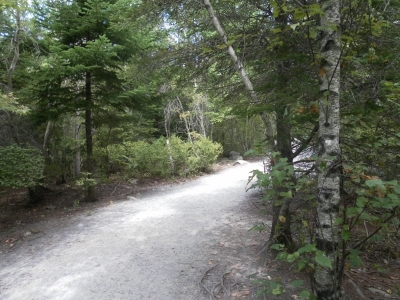 main_tosort070800x60106805.jpg