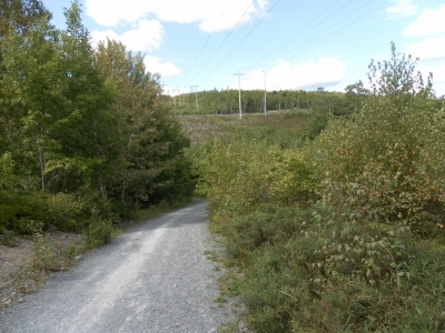 main_tosort073800x60106808.jpg