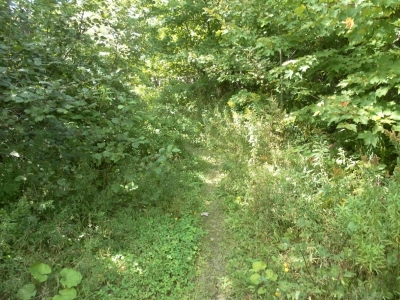 main_tosort074800x60106809.jpg