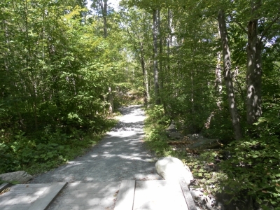 SAMSUNG DIGITAL CAMERA