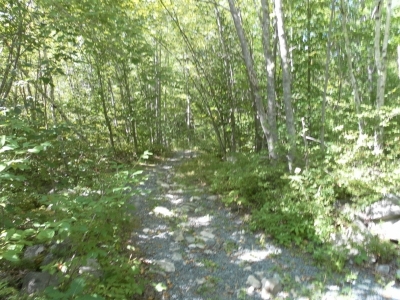 main_tosort080800x60106815.jpg