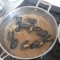 Mussels, cooked