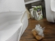 Dumpster10.jpg