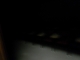 SF0-Katabasis (Raw) 043.JPG
