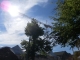 SF0 Raw 078.JPG