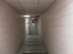 SF0 Raw 099.JPG