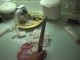 Soap28.jpg