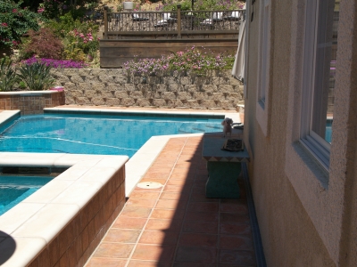 my dog got in on the action